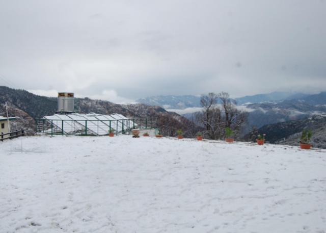 Natureraga Fernhill Resort Chail Zewnętrze zdjęcie