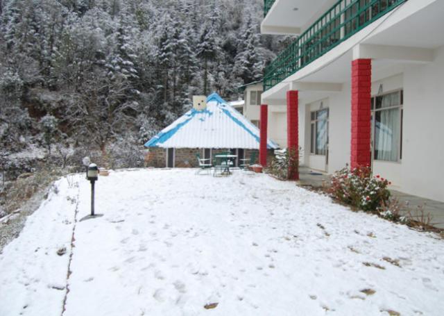 Natureraga Fernhill Resort Chail Zewnętrze zdjęcie